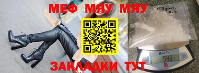 стафф Гатчина