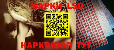 стафф Гатчина