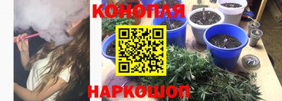 a pvp Гагарин