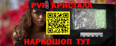стафф Гатчина