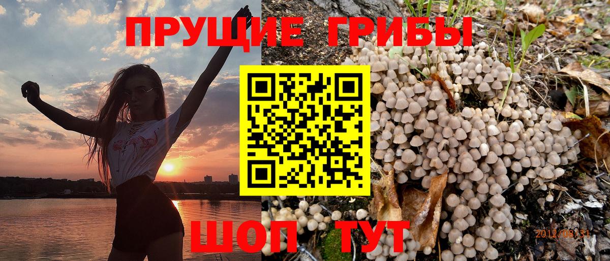 Галлюциногенные грибы Psilocybe  Вход с VPN  Галлюциногенные грибы прущие грибы  Нижневартовск 